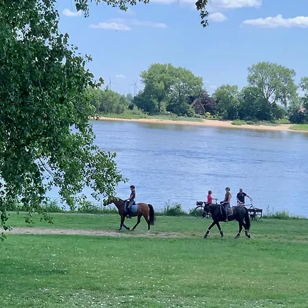 Feriehus Winzig Wohnen Tiny House Frigg Direkt Am Weserstrand Elsfleth